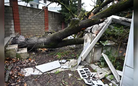 Şiddetli Fırtına Yalova Şehir Mezarlığı’nda Hasara Yol Açtı