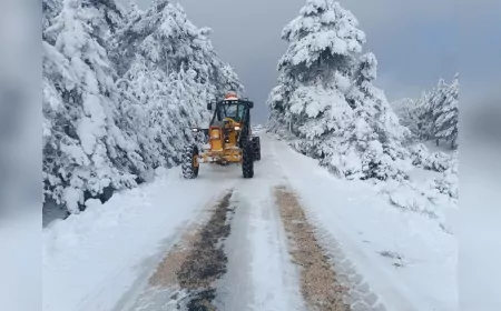 Büyükşehir Belediyesi'nden Karla Mücadelede 7/24 Mesai