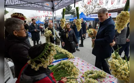 8. Karaburun Nergis Festivali Coşkuyla Başladı