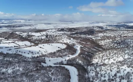 Büyükşehir’den Hayat Kurtaran Müdahale