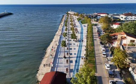 Sakarya’nın Yeşil Dönüşümü Hız Kazandı