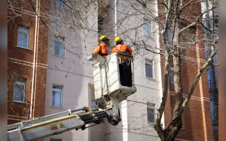 Eskişehir Büyükşehir’den Kent Merkezinde Kış Budaması