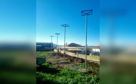 Muğla Büyükşehir'den Leyleklere Güvenli Yuva