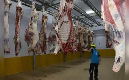 Kasapların Güvendiği Adres: Kocaeli Büyükşehir Mezbahası