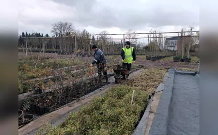 On Binlerce Bitki Kocaeli Büyükşehir’in Fidanlıklarında Hayat Buluyor