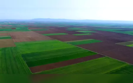 Danıştay’dan Alpu Ovası İçin Bir Zafer Daha