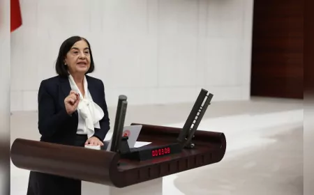 CHP’li Süllü: Emekli Veteriner Hekimler Yarı Maaşa Mahkûm Edildi