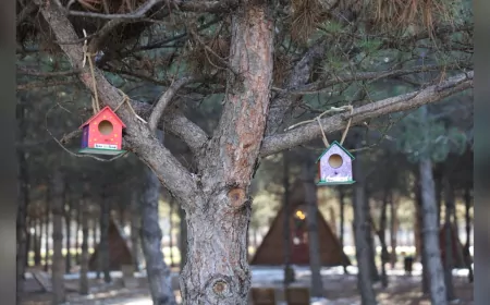 Kartalkaya Yangını Unutulmadı: Minik Ellerden Umuda Uzanan Anlamlı Anma