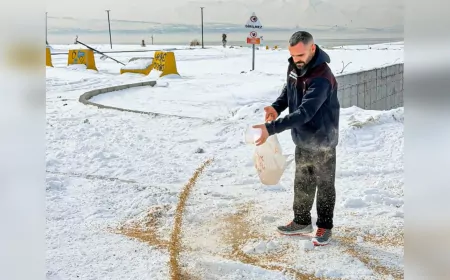Van Büyükşehir Belediyesi’nden Yaban Hayata Kış Desteği