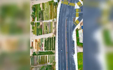 İzmir’in Renkleri Fidanlıklarda Filizleniyor