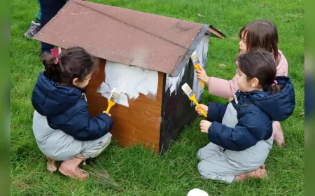Can Dostlara Geri Dönüştürülmüş Sıcak Yuvalar