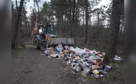 Düzce Kent Ormanı’nda Temizlik Seferberliği