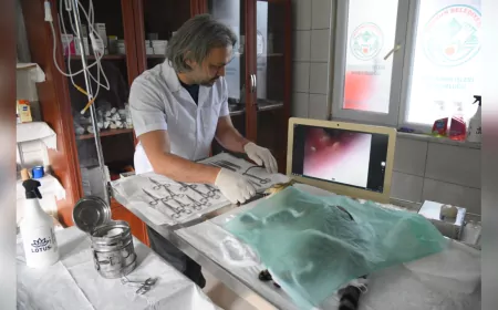 Giresun Belediyesi’nden Sokak Hayvanları İçin Teknolojik Sağlık Yatırımı