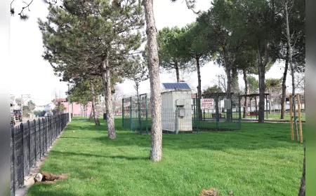 Söğütlü’ye Ritimli Dokunuş: Büyükşehir’den Yeni Yaşam Alanı