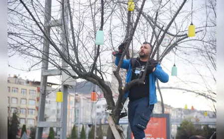 Giresun Belediyesi’nden Sahil Şeridinde Ağaçlara Nefes Aldıran Peyzaj Çalışması
