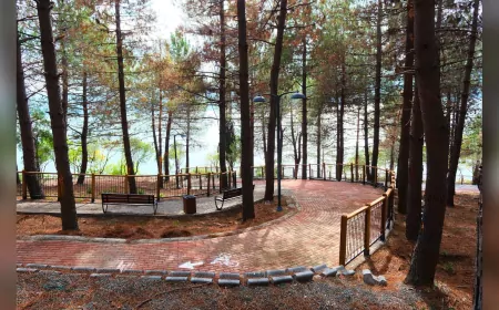 Sapanca Gölü Kıyısında Yeni Yaşam Alanı