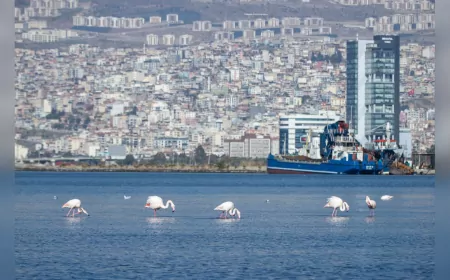 İZPA Raporu: İzmir’de Barınma Krizi Derinleşiyor