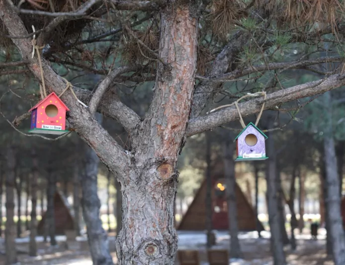 Kartalkaya Yangını Unutulmadı: Minik Ellerden Umuda Uzanan Anlamlı Anma