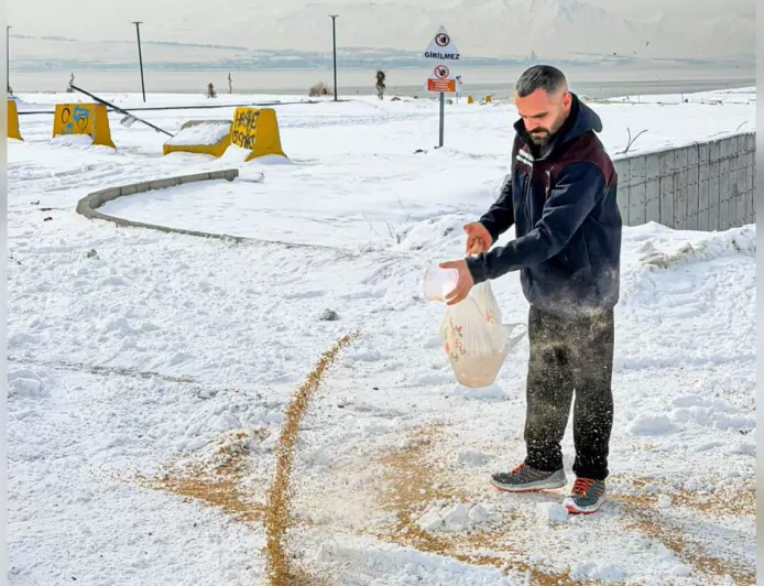 Van Büyükşehir Belediyesi’nden Yaban Hayata Kış Desteği