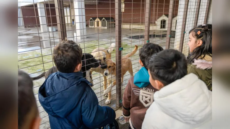 İzmir’de “Tek Sağlık” Yaklaşımıyla Hayvan Refahında Büyük İyileşme