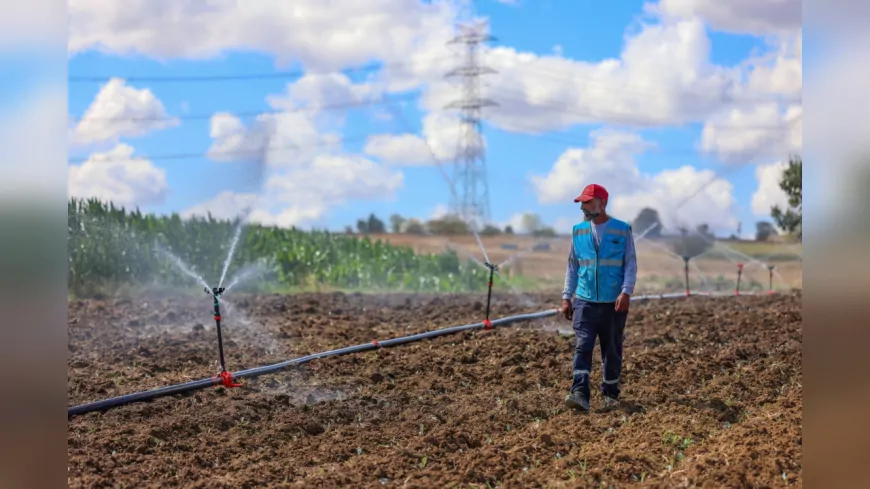 2025te Toprağa Bereket Yağdı Kocaeli Büyükşehirden 166 Milyon TLlik Tarımsal Destek