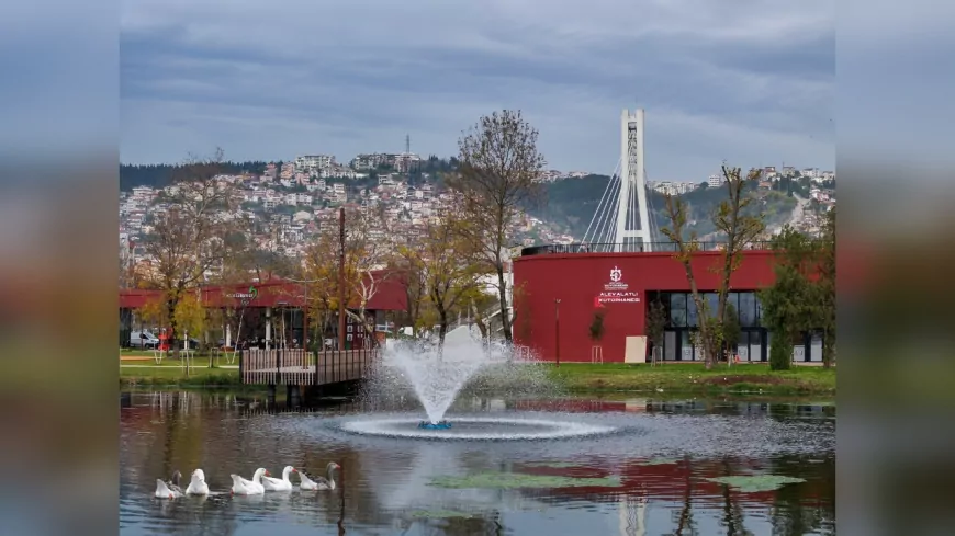 Büyükşehirden Göl Manzaralı Kütüphane