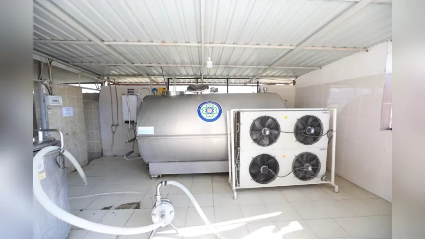 Muğla Büyükşehir Belediyesi’nden Toplu Açılış Töreni