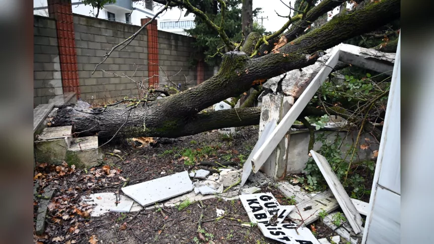 Şiddetli Fırtına Yalova Şehir Mezarlığı’nda Hasara Yol Açtı