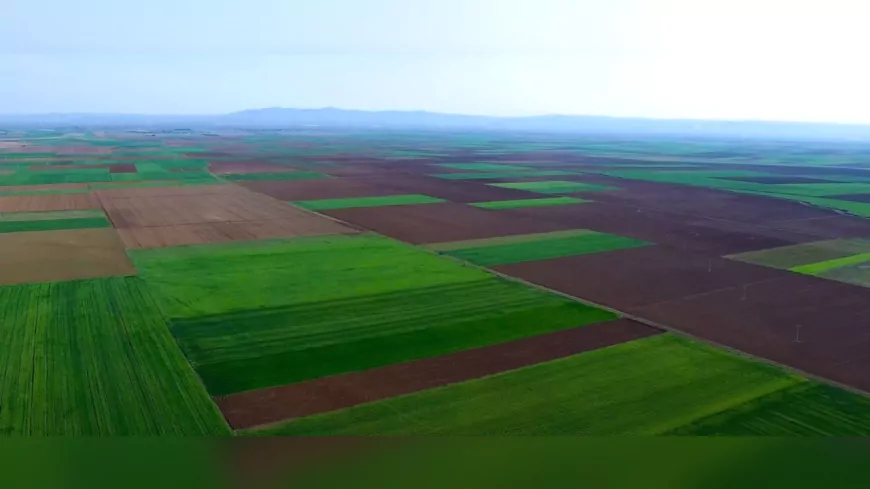 Danıştay’dan Alpu Ovası İçin Bir Zafer Daha