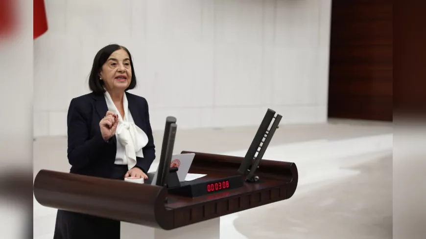 CHP’li Süllü: Emekli Veteriner Hekimler Yarı Maaşa Mahkûm Edildi