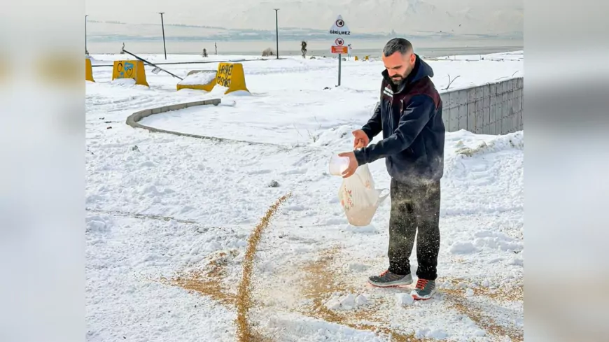 Van Büyükşehir Belediyesi’nden Yaban Hayata Kış Desteği