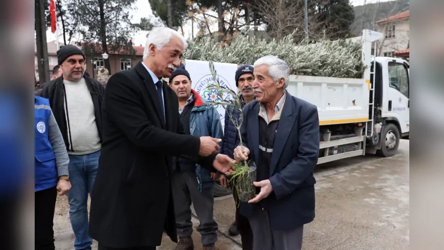 Muğla Büyükşehir’den Ula’da Üreticiye Zeytin ve Ceviz Fidanı Desteği