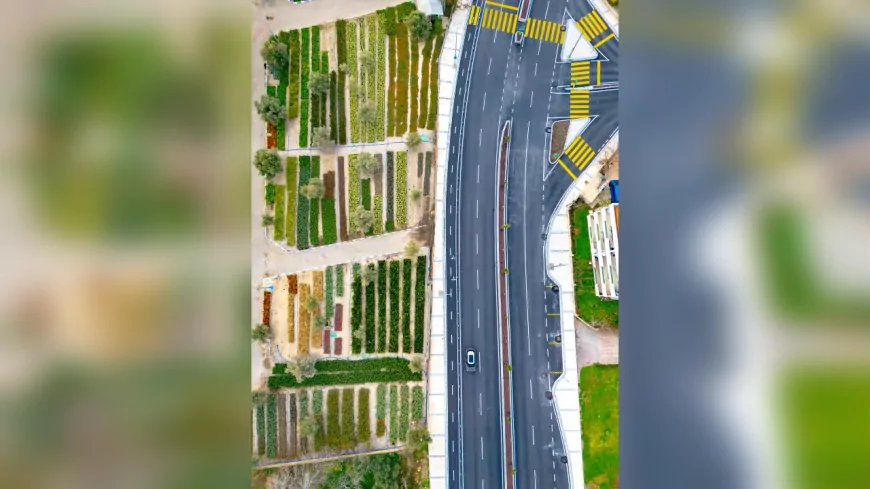 İzmir’in Renkleri Fidanlıklarda Filizleniyor