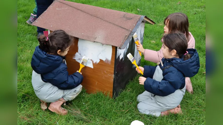 Can Dostlara Geri Dönüştürülmüş Sıcak Yuvalar