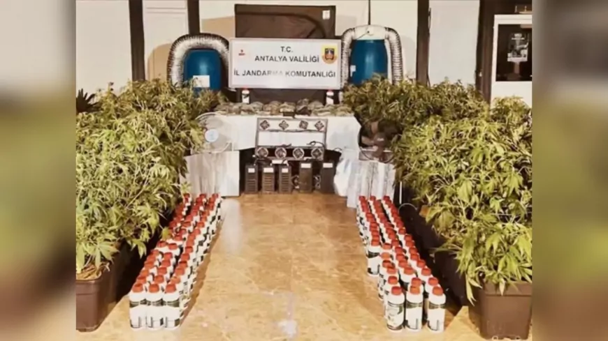 23 İlde Dev Uyuşturucu Operasyonu