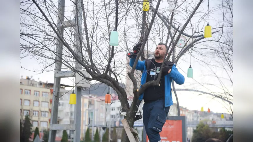 Giresun Belediyesi’nden Sahil Şeridinde Ağaçlara Nefes Aldıran Peyzaj Çalışması