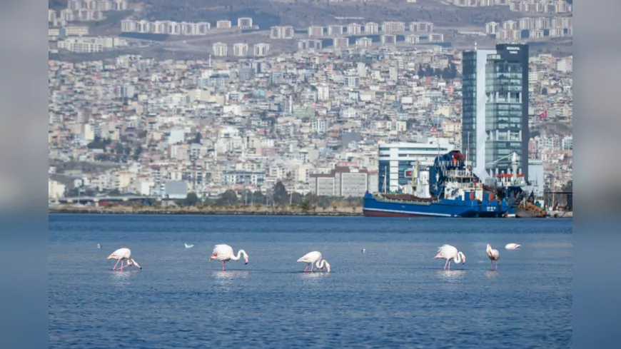 İZPA Raporu: İzmir’de Barınma Krizi Derinleşiyor