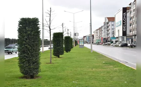 Balıkesir Büyükşehir Belediyesi’nden 20 İlçeye “Çiçek Gibi” Hizmet