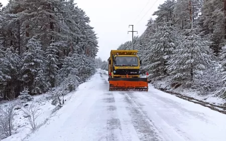 Mihalıççık’ta Kışa Karşı Etkin Mücadele