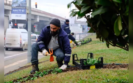 Yalova Belediyesi'nden 2025’te 624 Bin Metrekarelik Yeşil Alanda Bakım ve Düzenleme