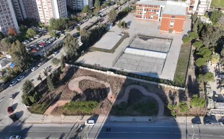 İzmir’in Beton Boşluklarında Mini Ormanlar Yükseliyor