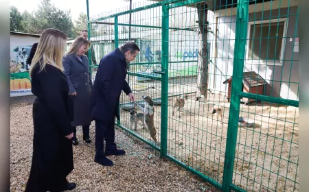 Başkan Ahmet Ataç, Doğal Yaşam Merkezi’nde İncelemelerde Bulundu
