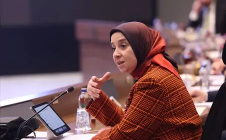 DEVA Partisi Genel Başkan Yardımcısı Elif Esen: “Depremzede anahtarını alıp taşınmıyorsa, sorun vatandaşta değil devlettedir”