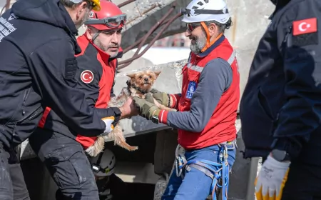 İzmir’de Afetzede Hayvanlar İçin İlçelere Arama Kurtarma Eğitimi