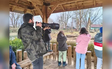 Doğa Dedektifleri İz Peşinde