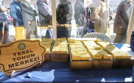 Eskişehir’de Yerel Tohum Takas Günleri Başlıyor