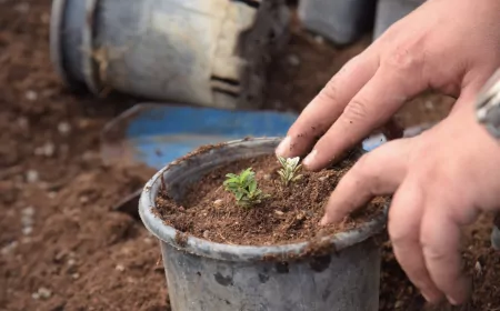 Bilecik’te Bahara Hazırlık Başladı