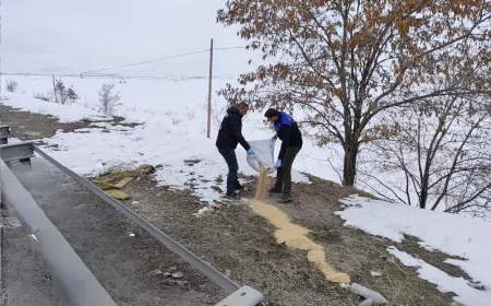 Van Büyükşehir’den Erciş’te Yaban Hayatına 1,5 Ton Yem Desteği