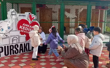 Pursaklar’da Minik Öğrencilerden Kedi Evine Sevgi Dolu Ziyaret