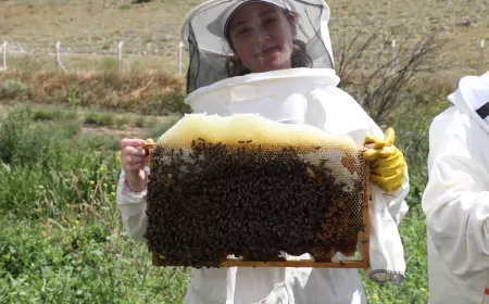 Arıköy Kayıtları Başlıyor